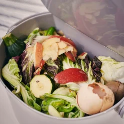 Composteurs D'Intérieur>Camif Bac à compost Daily - Gris