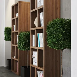 Bibliothèques|Etagères><noscript><img width=