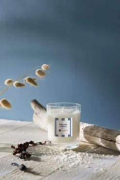 Bougies>Camif Bougie parfumée Baignade à Oléron