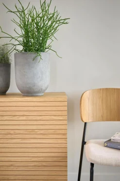 Buffets><noscript><img width=