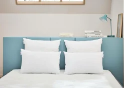 Oreillers|Oreillers>Camif BULTEX Lot de 2 oreillers moelleux - 40 x 60 cm