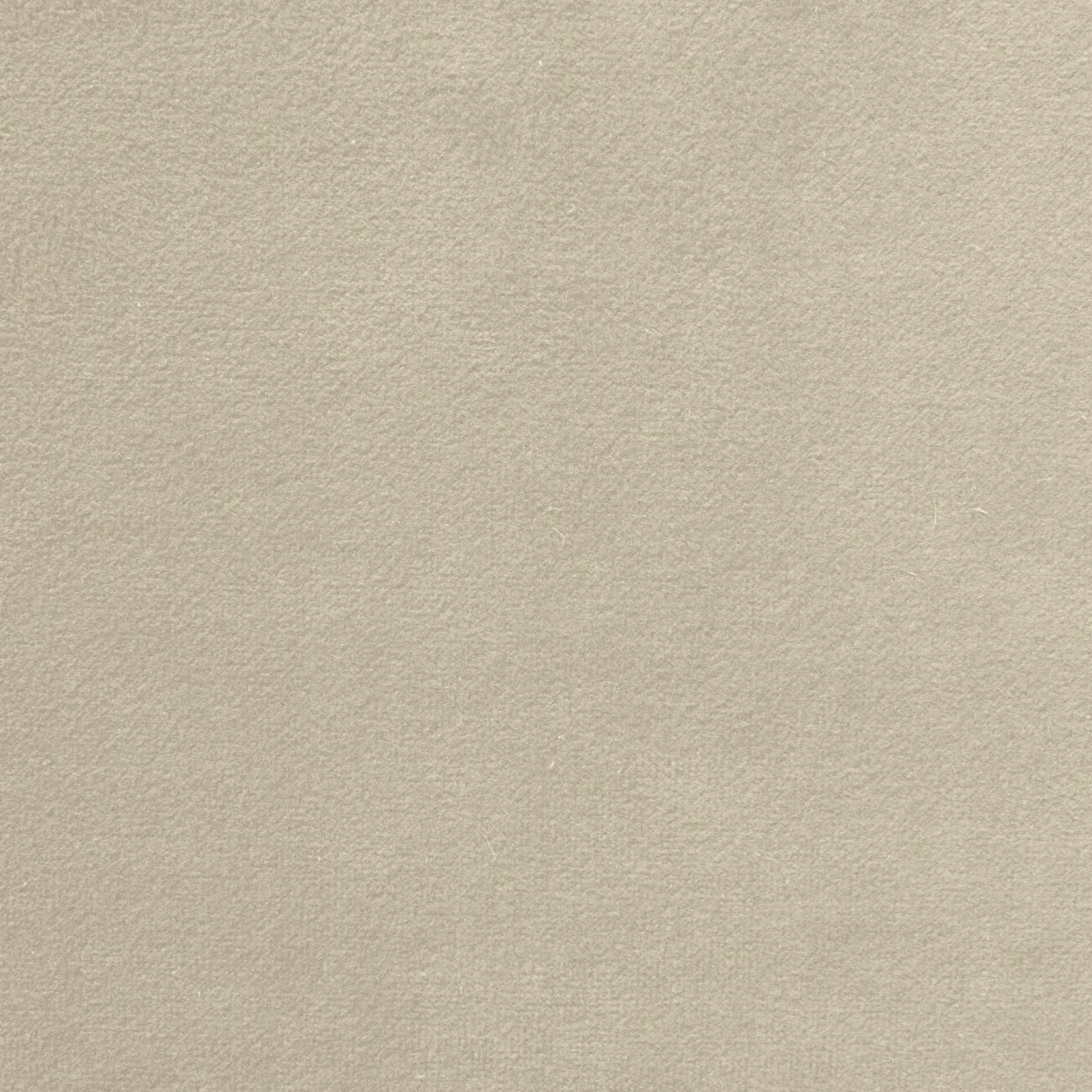 Canapés Droits|Canapés Fixes>Camif Canapé velours Paimpol - - 2 places Crème