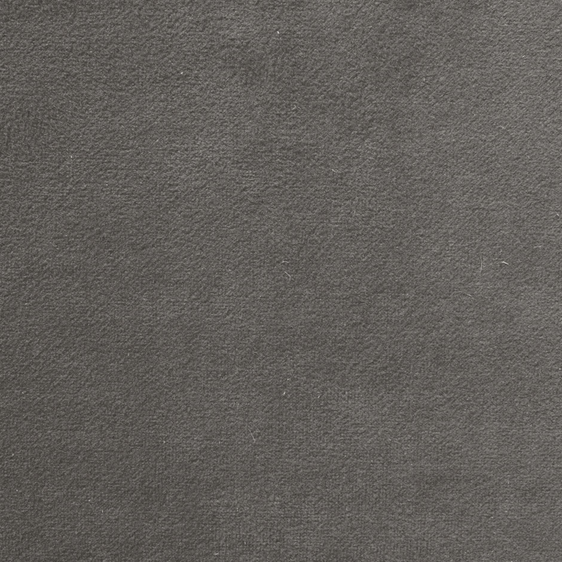 Canapés Droits|Canapés Fixes>Camif Canapé velours Paimpol - - 2 places Gris Clair