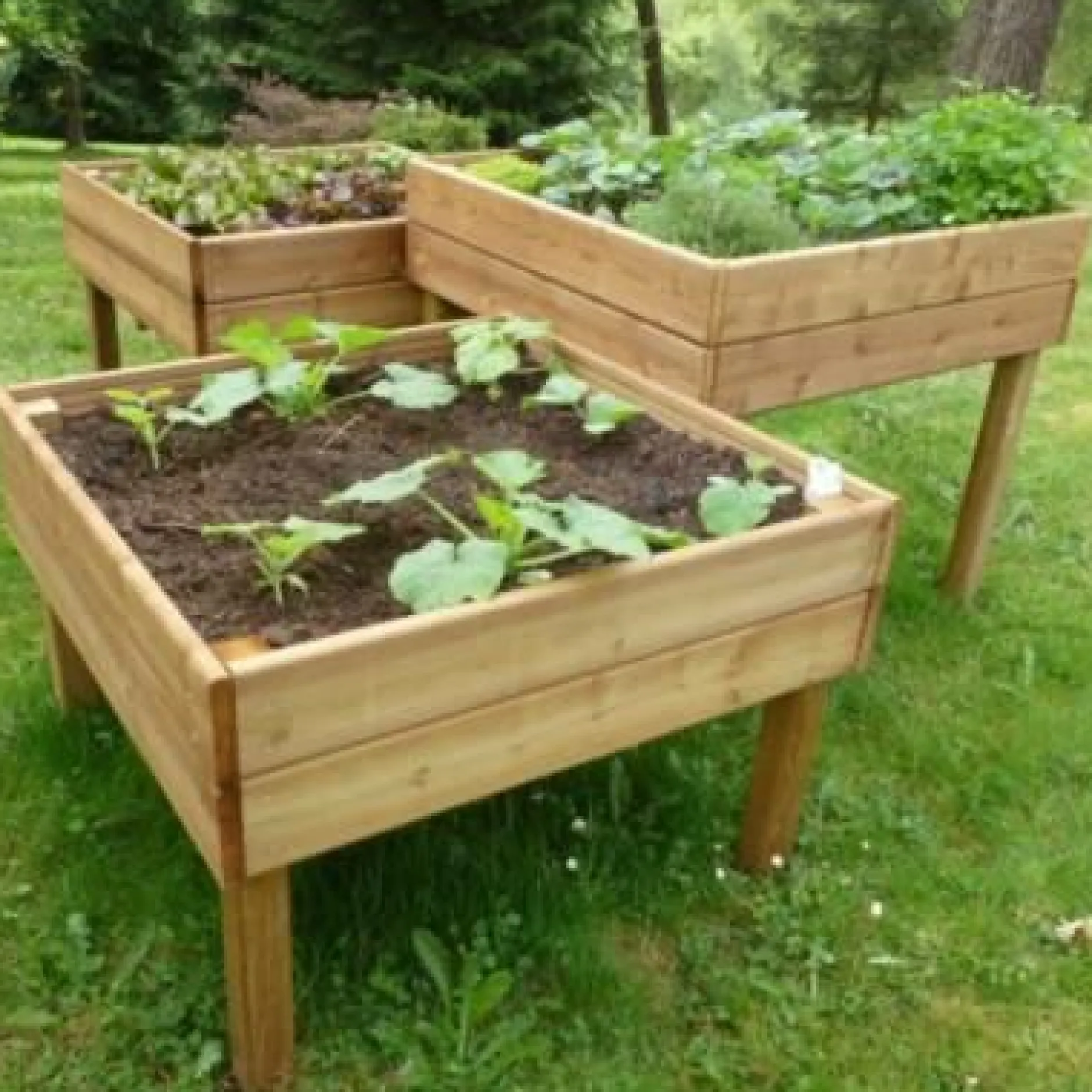 Carrés De Potager>Camif C.I.H.B. Lot de 3 Tables Potagères Carrées 480 L en Bois Autoclave