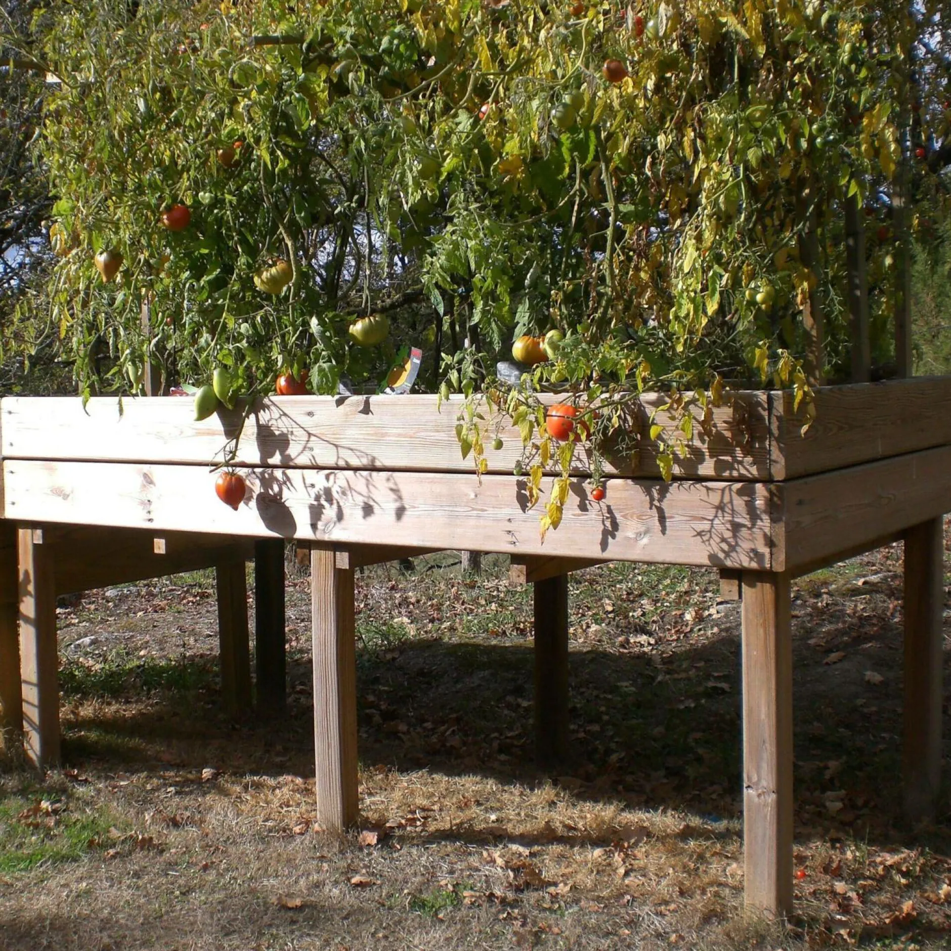 Carrés De Potager>Camif C.I.H.B. Table Potagère Rectangulaire 320 L en Bois Autoclave