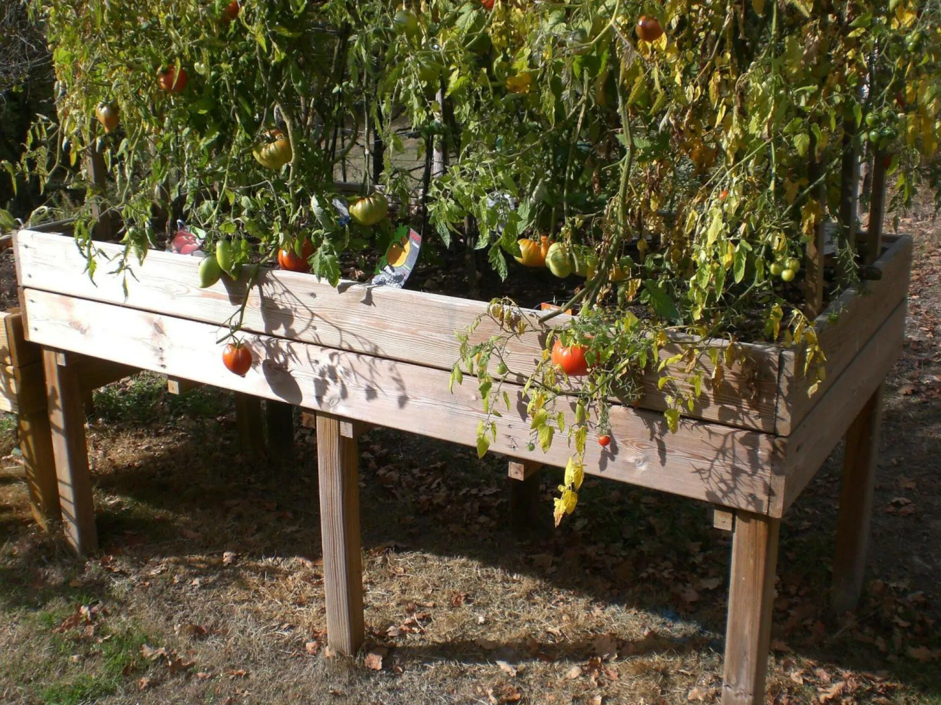 Carrés De Potager>Camif C.I.H.B. Table Potagère Rectangulaire 320 L en Bois Autoclave