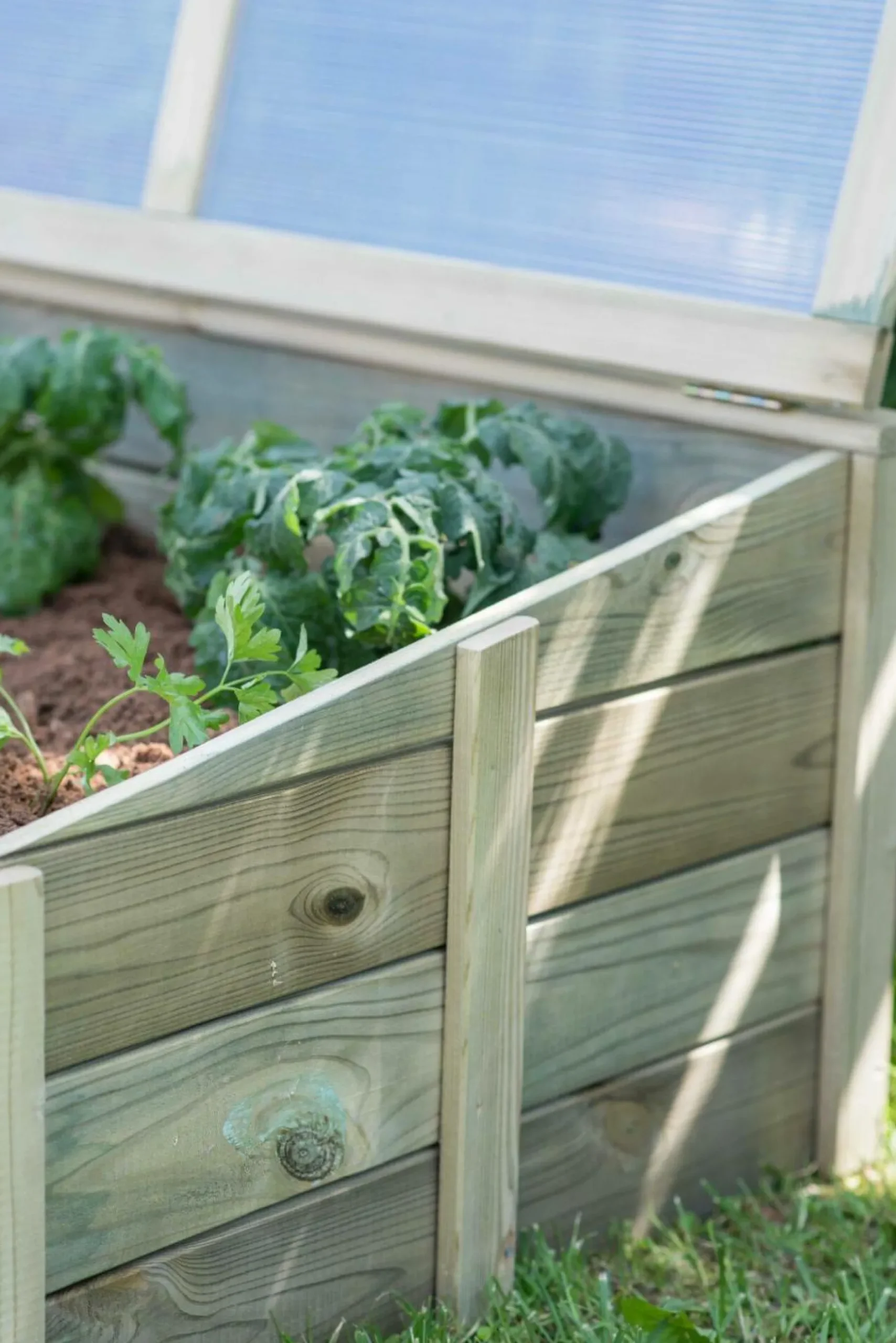 Carrés De Potager>Camif EKJU Serre à Poser 60 x 100 cm en Bois et Plexiglass
