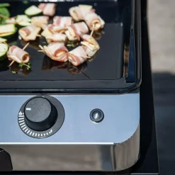 Planchas></noscript>Camif ENO Plancha Fusion Gaz 75 - Inox