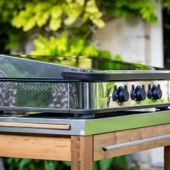 Planchas><noscript><img width=