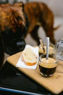 Tasses|Tasses></noscript>Camif LA ROCHERE Set de 4 expressos Troquet assortis