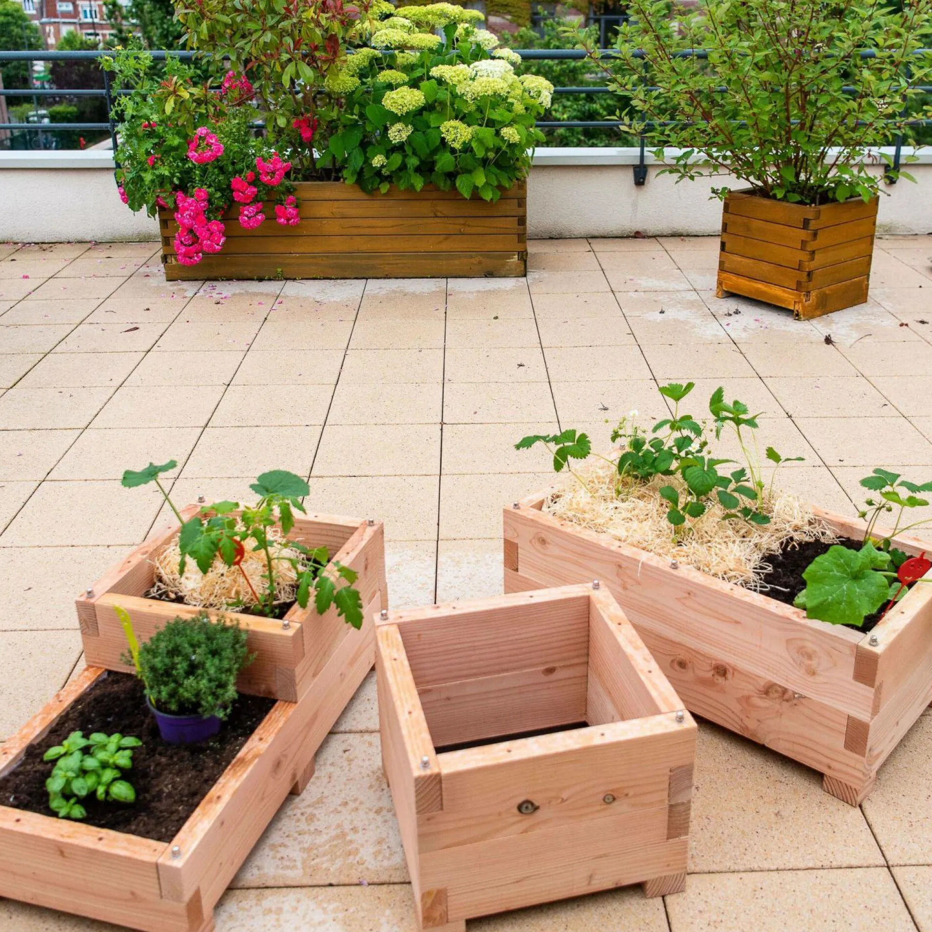 Carrés De Potager>Camif LE CARRE FANTASTIK Carré de Potager Little en Bois