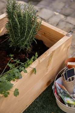 Carrés De Potager><noscript><img width=