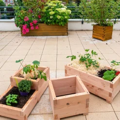 Carrés De Potager></noscript>Camif LE CARRE FANTASTIK Carré de Potager 2 Niveaux Twinik en Bois