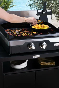 Planchas></noscript>Camif LE MARQUIER Plancha Allure Électrique 260 Duo en Inox et Acier Noir