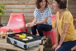 Planchas><noscript><img width=