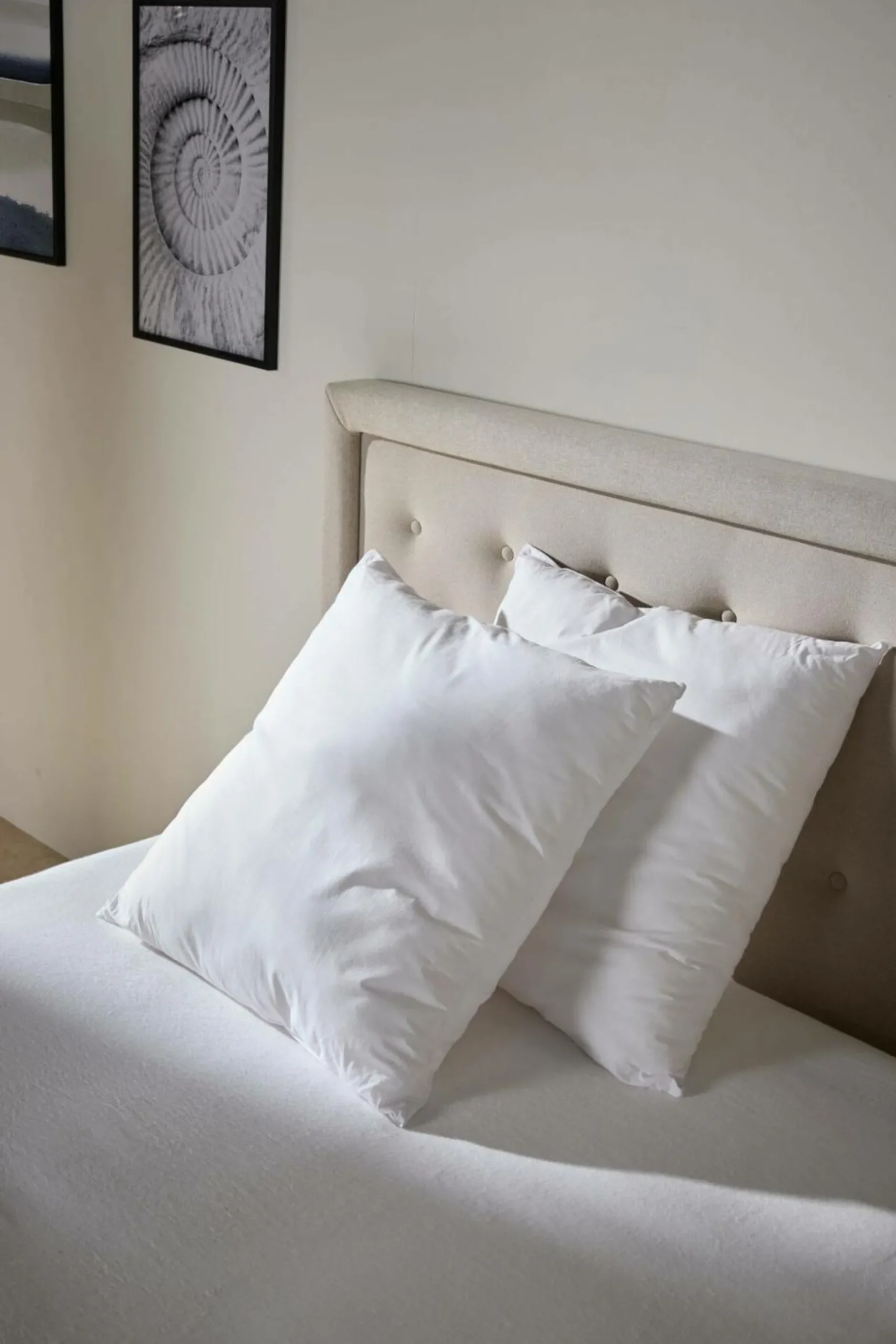 Oreillers|Oreillers>Camif Lot de 2 oreillers souples Leny - 65 x 65 cm