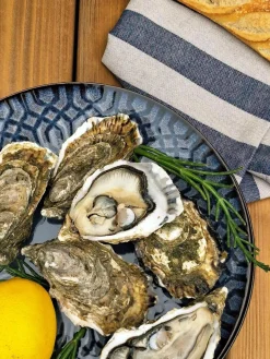 Assiettes|Assiettes></noscript>Camif MARIA PT TERRACOTA Lot de 6 Assiettes plates Croisé Anadia