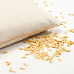 Oreillers|Oreillers>Camif MILLE OREILLERS Oreiller ferme petit épeautre biologique - 50 x 70 cm