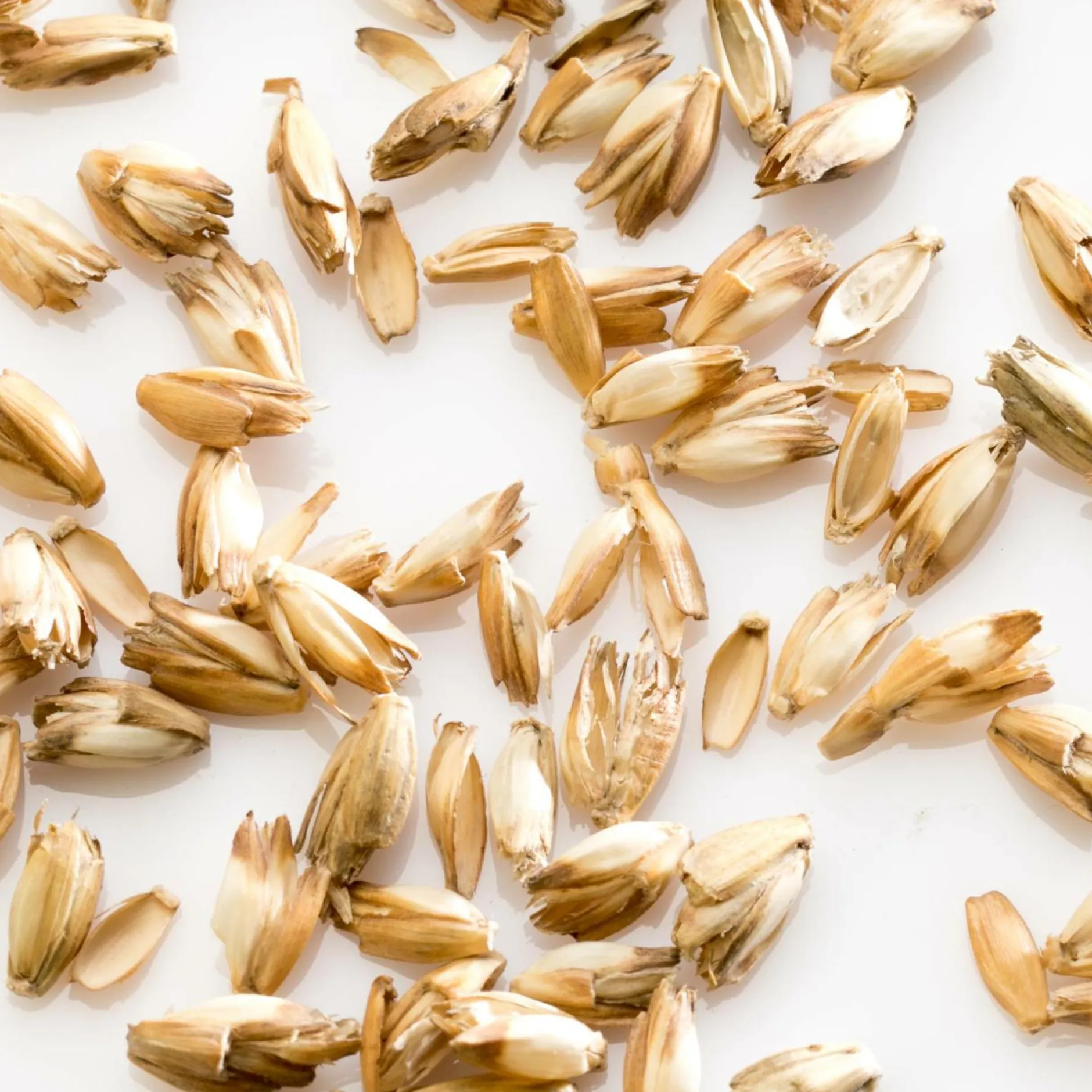 Oreillers|Oreillers>Camif MILLE OREILLERS Oreiller ferme d'épeautre biologique - 60 x 60 cm