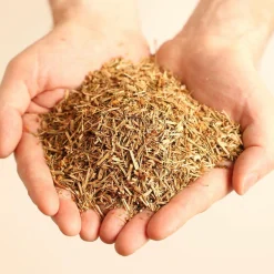 Oreillers|Oreillers>Camif MILLE OREILLERS Oreiller ferme au houblon des Flandres - 50 x 70 cm