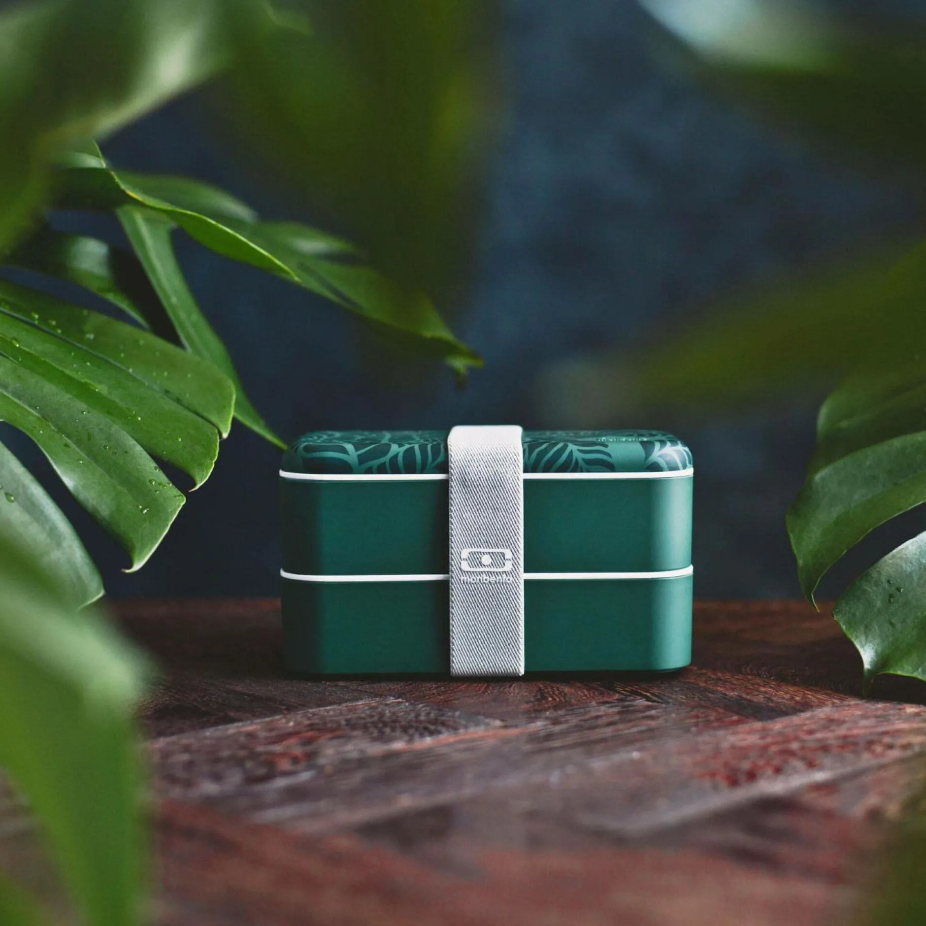 Conservation Et Boîtes>Camif MONBENTO Boîte repas graphic - Jungle