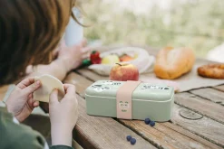 Conservation Et Boîtes><noscript><img width=