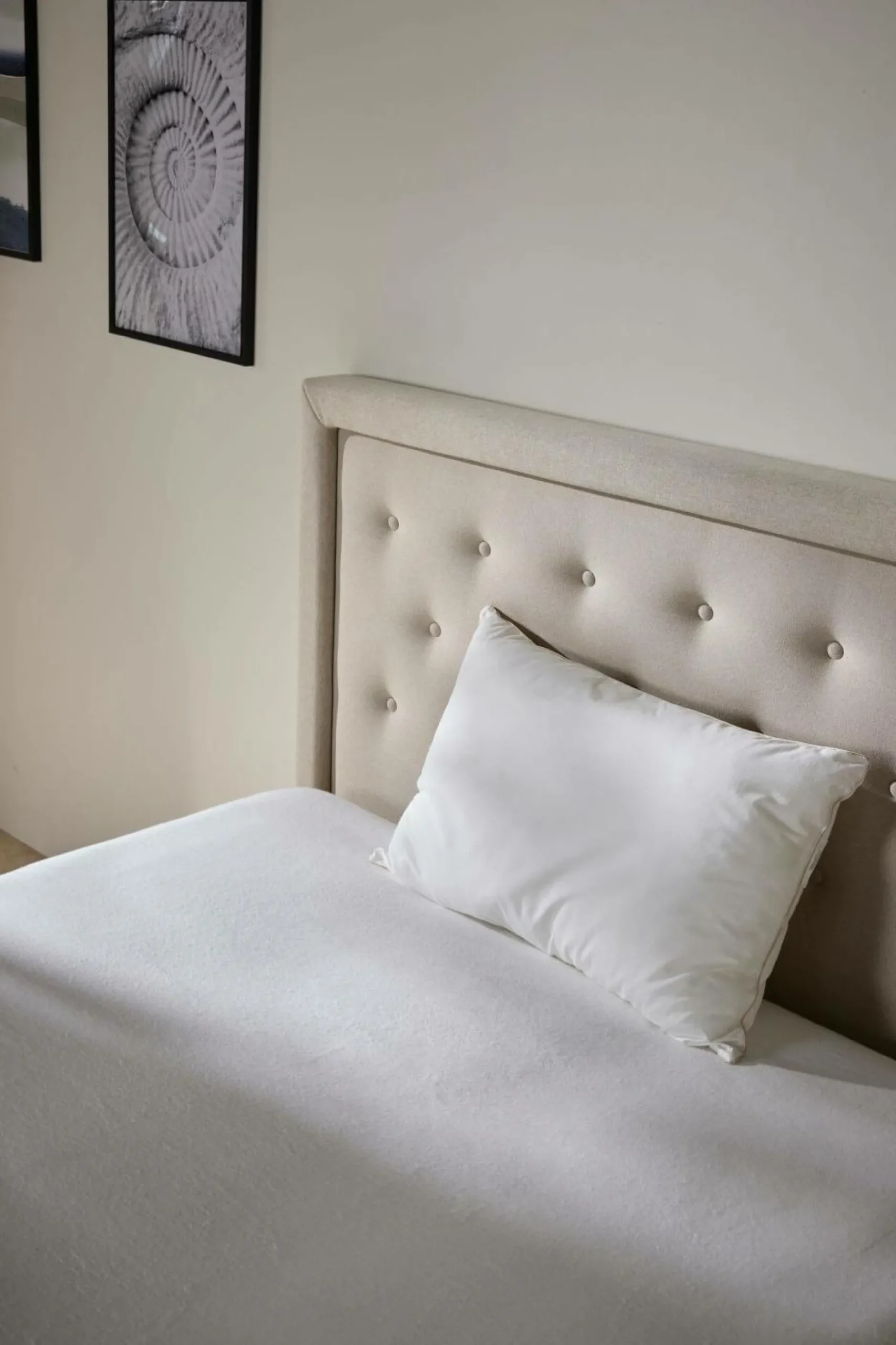 Oreillers|Oreillers>Camif Oreiller anti-acariens phytocare Louna - Moelleux - 50 x 70 cm