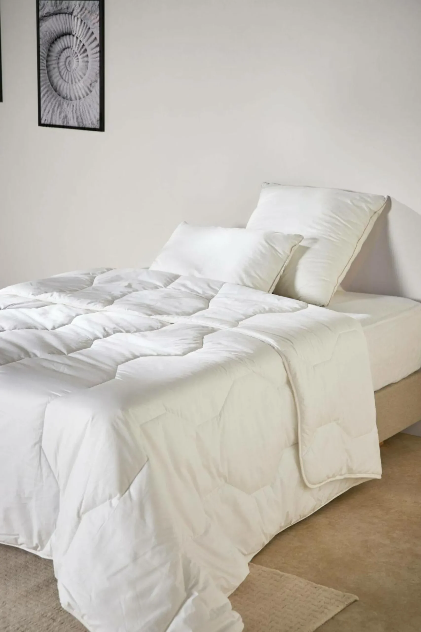 Oreillers|Oreillers>Camif Oreiller anti-acariens phytocare Louna - Moelleux - 65 x 65 cm