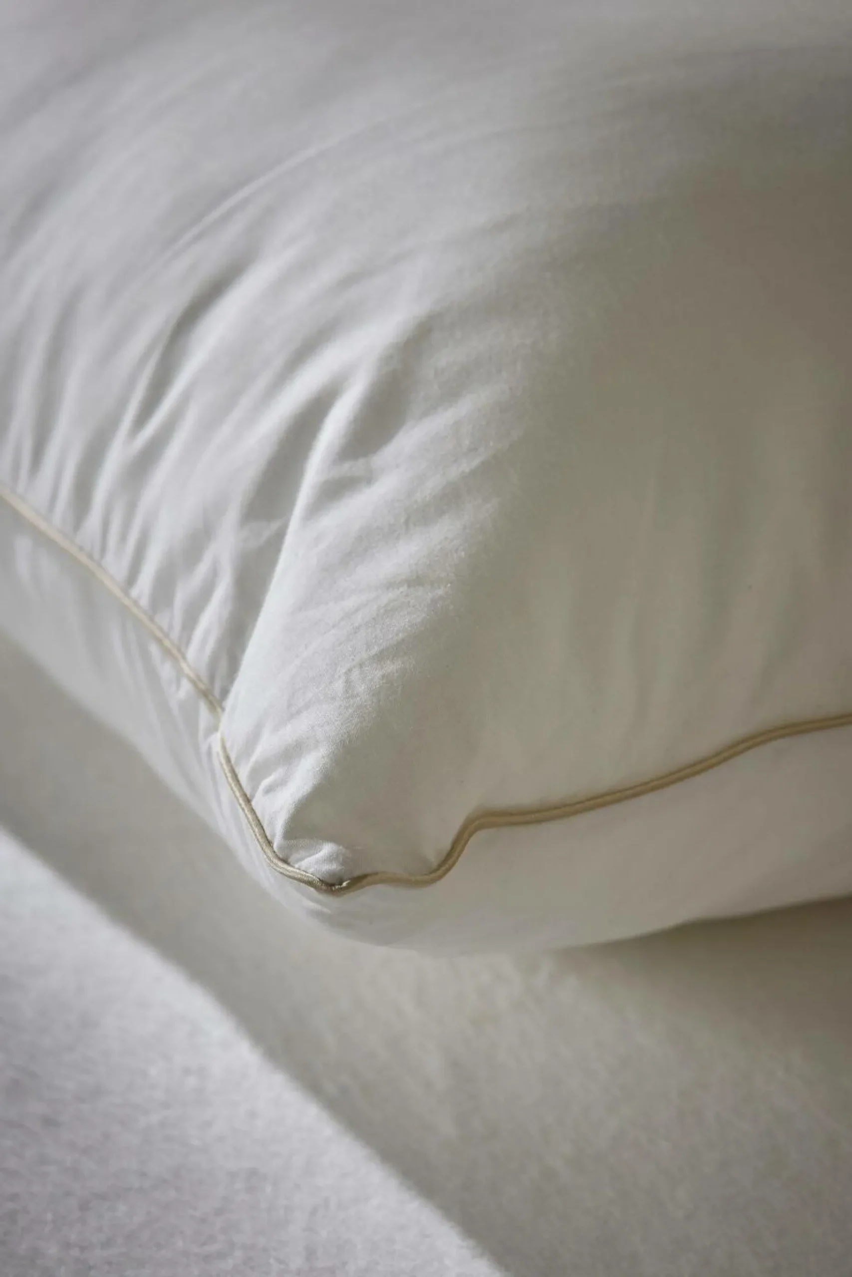 Oreillers|Oreillers>Camif Oreiller anti-acariens phytocare Louna - Moelleux - 65 x 65 cm