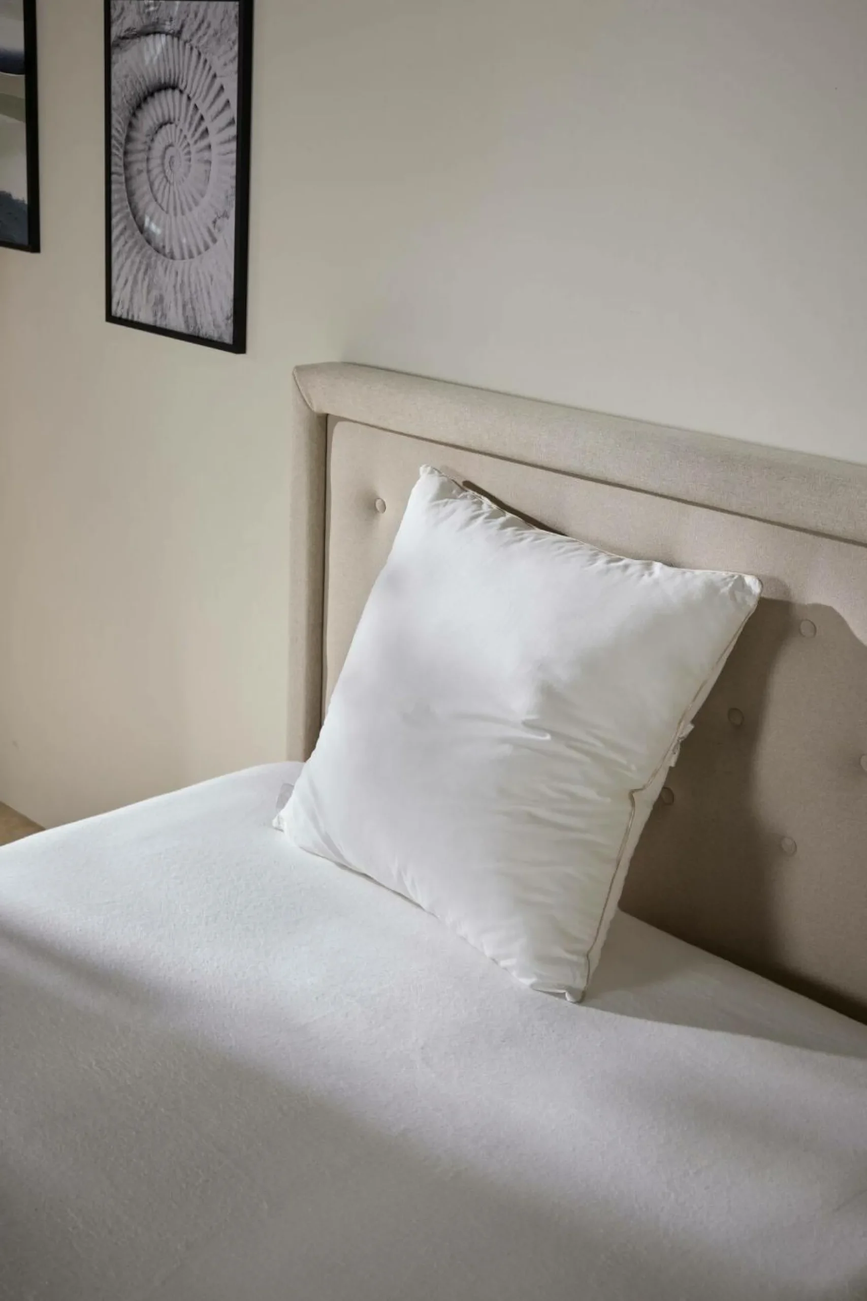 Oreillers|Oreillers>Camif Oreiller anti-acariens phytocare Louna - Moelleux - 65 x 65 cm