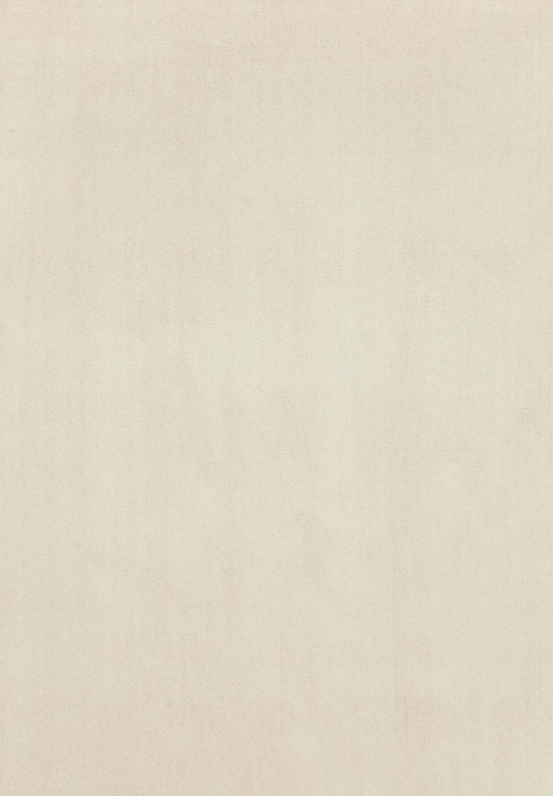 Tapis D'Intérieur>Camif Tapis Bella - Crème - 120 x 170 cm