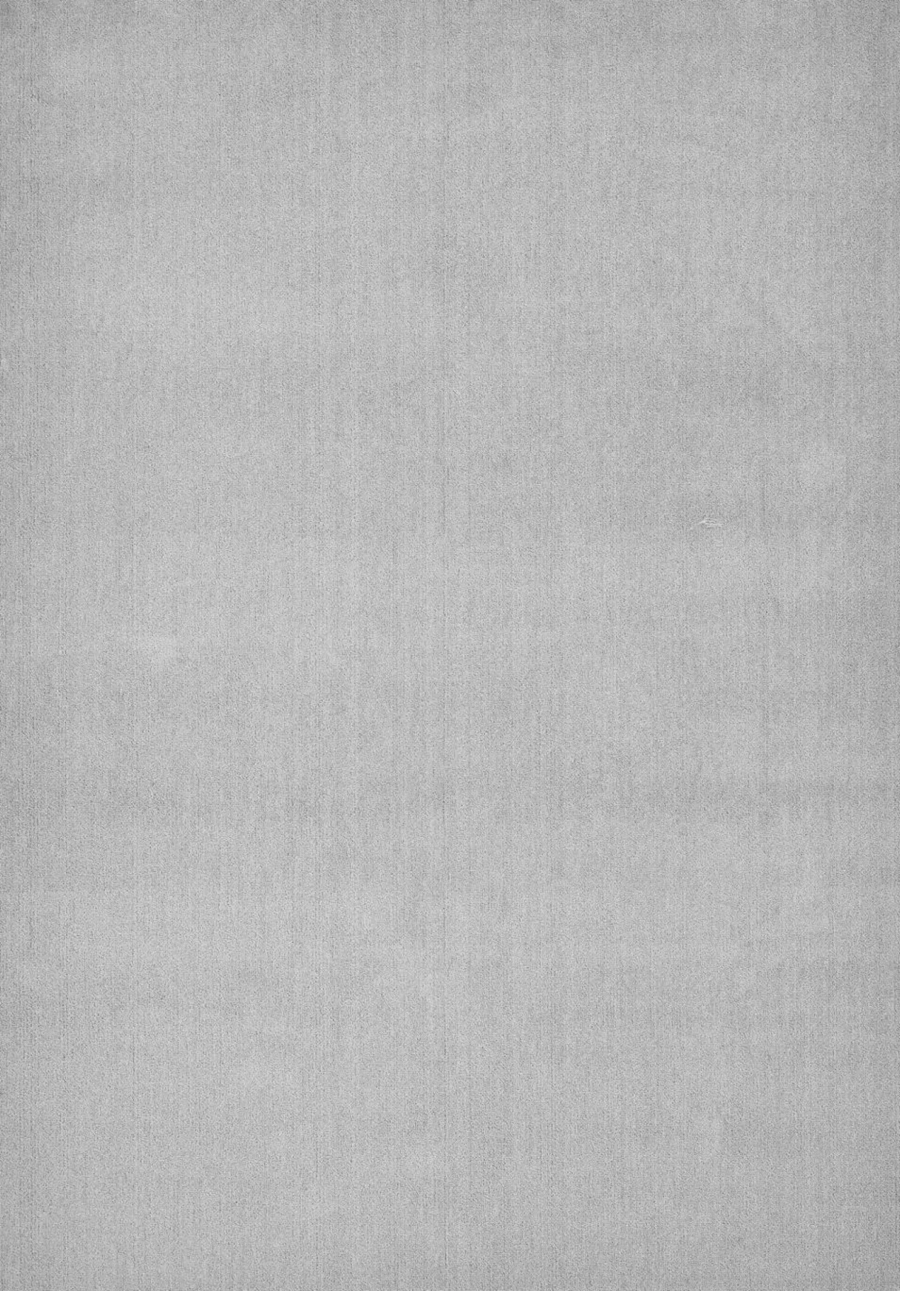 Tapis D'Intérieur>Camif Tapis Bella - - 120 x 170 cm Gris Clair