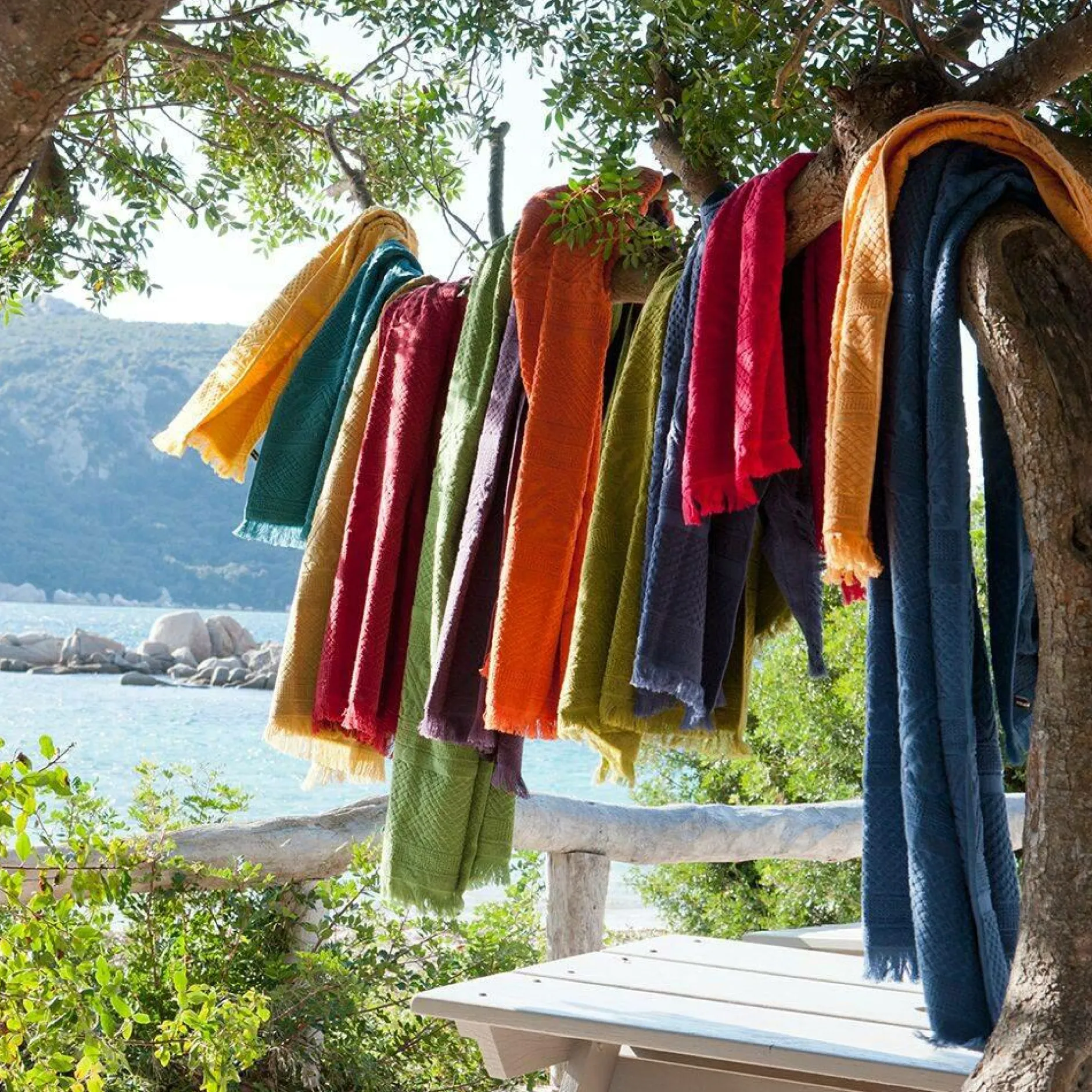 Serviettes De Bain>Camif VIVARAISE Serviette invité Zoé - - Serviette invité 30 x 50 cm Neige